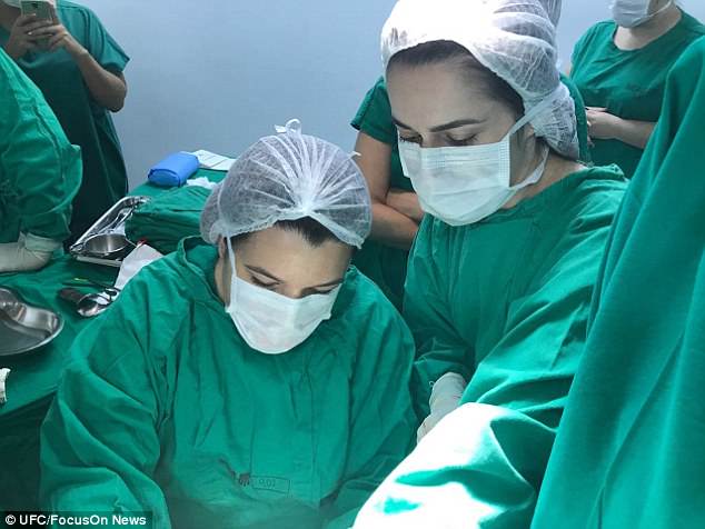 Para crear una 'nueva vagina', los cirujanos insertan un molde acrílico en forma de genitales, alineado con la piel de tilapia, en el espacio creado entre la vejiga y el recto | Daily Mail