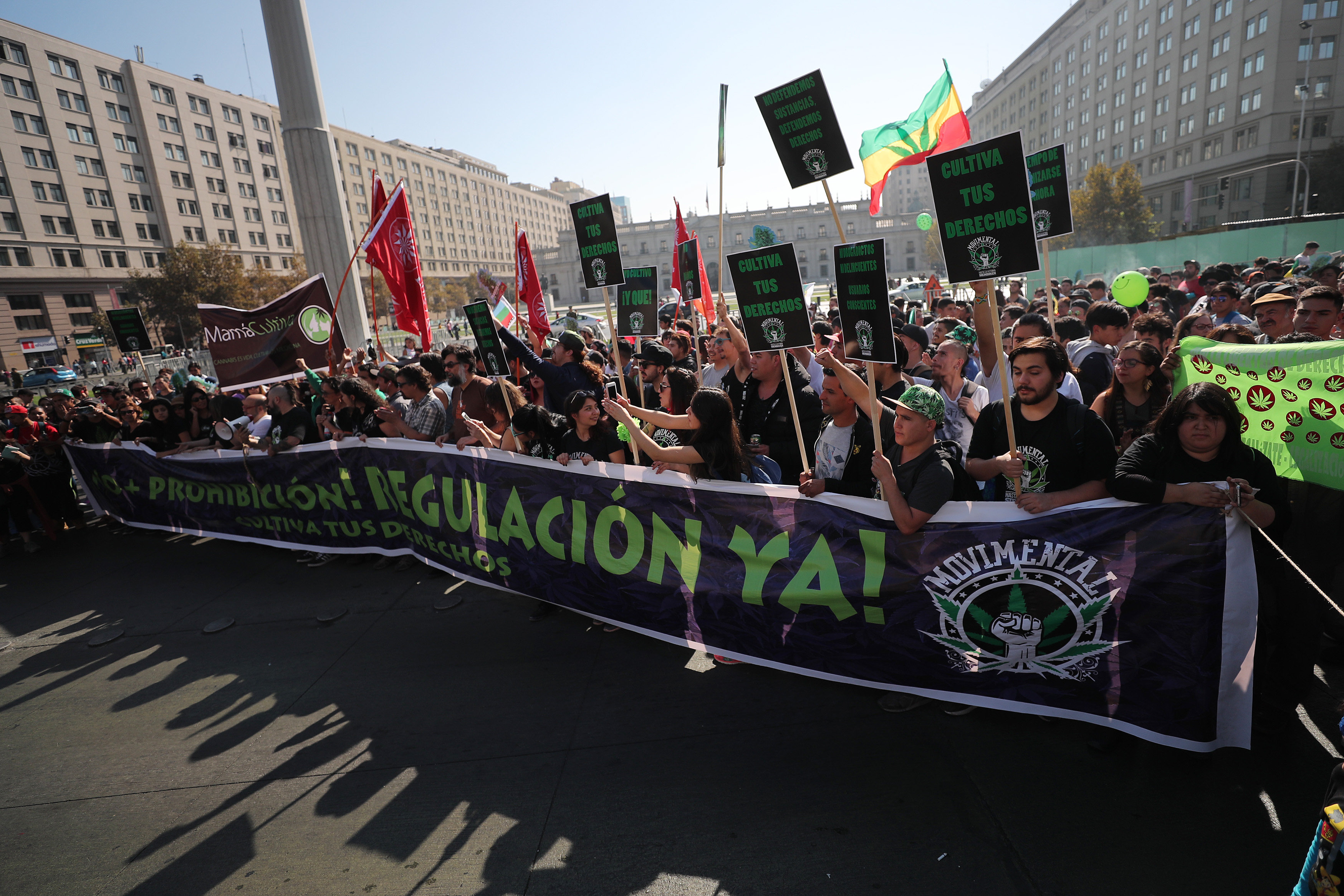 Chilenos marchan por la regulación del cultivo y uso de cannabis
