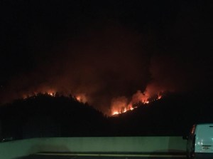 Incendio en Manzanares afectó unas cinco hectáreas