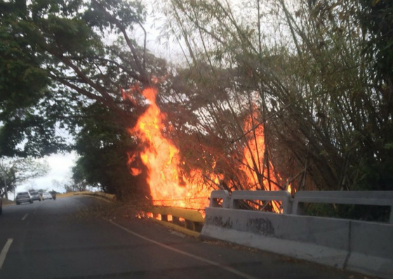 Foto: Reportan incendio en la Cota Mil / Yanitza León