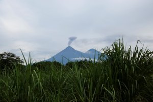 Localizan 9 osamentas en la zona cero de la erupción del volcán de Guatemala