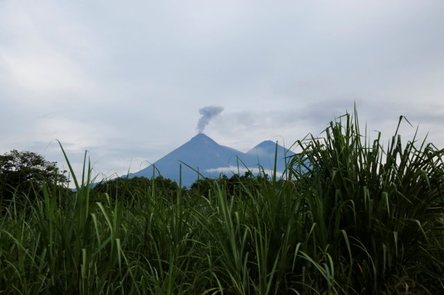 The Fuego volcano is seen from San Miguel Los Lotes, Guatemala June 13, 2018. REUTERS/Luis Echeverria