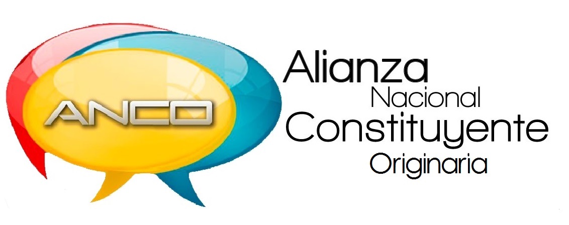 Alianza Nacional Constituyente Originaria propone realizar nueva consulta nacional (COMUNICADO)