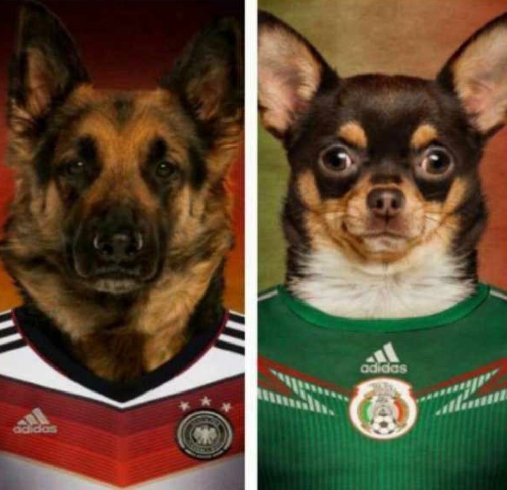 Los mejores memes tras sorpresa de México ante Alemania en el Mundial Rusia 2018