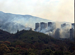 Fallece voluntario en extinción de incendio forestal en el Zoológico de Caricuao #3Jun