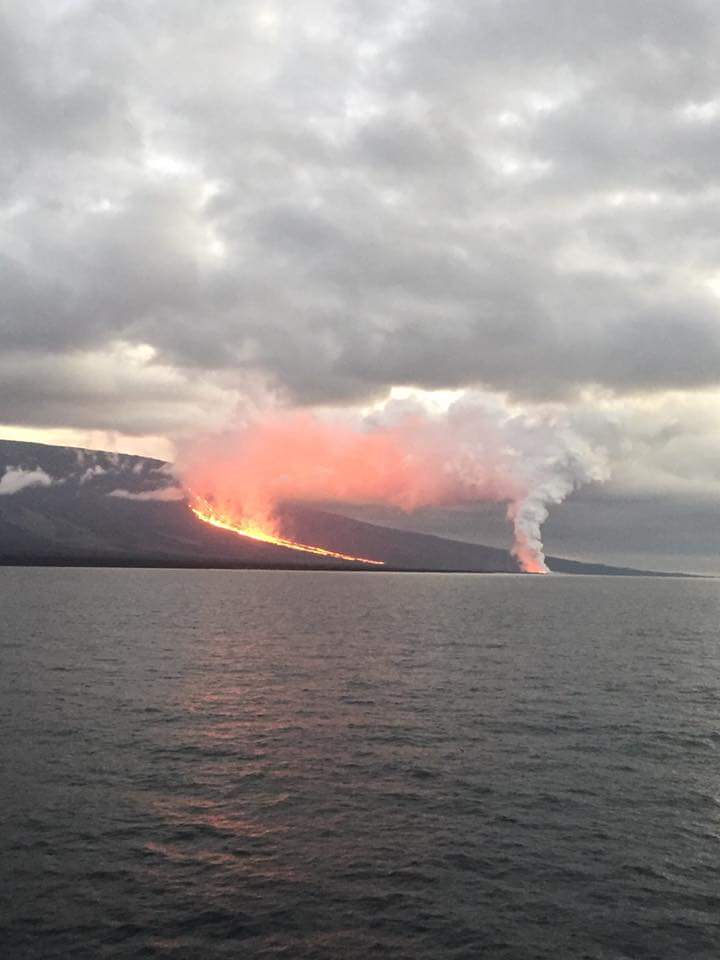 Volcán La Cumbre en el archipiélago de Galápagos continúa en erupción (VIDEOS)