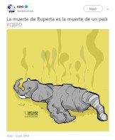 Murió la elefante Ruperta (Fotos)