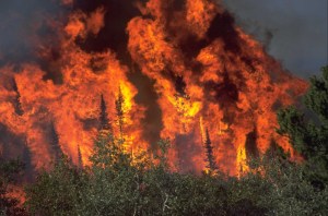Incendios destruyen centenar de casas y desplazan a miles de personas en EEUU