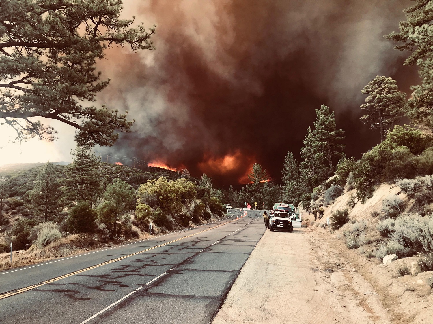 Incendios forestales en California cobran tres vidas y arrasan miles de hectáreas (Fotos)