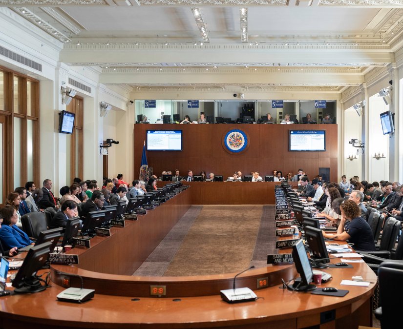 Dieciséis países expresan en la OEA su pleno respaldo a Guaidó