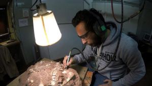 Arqueólogos hallan en EEUU la pata de dinosaurio más grande del mundo (Foto)