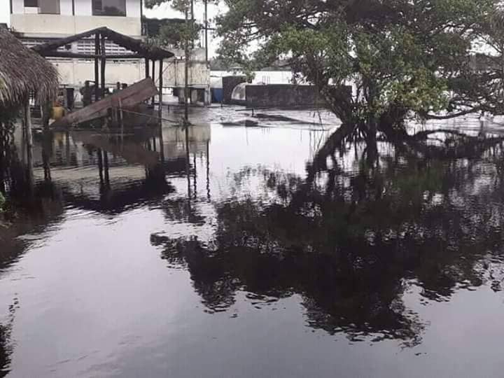 Río Orinoco sigue generando inundaciones en Amazonas (Fotos)