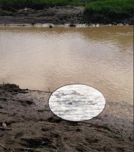 Emergencia sanitaria en el río Táchira por cadáveres en descomposición