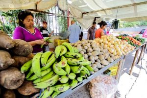 Canasta alimentaria de Maracaibo en abril se mantuvo en 469 dólares, mismo costo con respecto al mes anterior