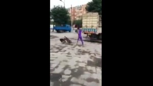 Este monito robó una bicicleta para escapar de un perro (Video)