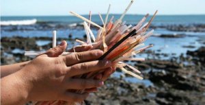 ¡Un respiro para el medio ambiente! En Seattle entra en vigor ley que prohíbe pitillos plásticos