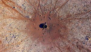 La grave sequía en Australia abre la veda para disparar a los canguros (Fotos)