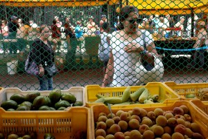 Canasta alimentaria de julio se ubicó en 1.649.306,75 bolívares