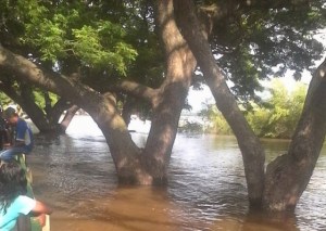 EN VIDEO: Milagroso parto a orillas del río Orinoco
