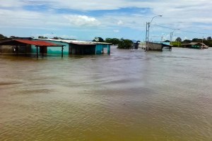 EN IMÁGENES: Puerto Páez en el estado Apure bajo las aguas