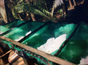 Desmantelan cuatro laboratorios de cocaína en frontera con Colombia (Fotos)