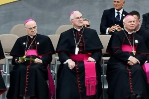 Cardenales de EEUU se defienden de acusaciones de encubrimiento de abuso sexual