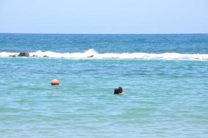 Adolescente sufre un mareo dentro de Playa Sheraton y fallece