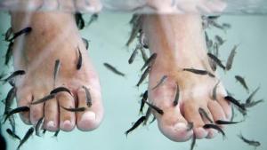 Una turista pierde los dedos de un pie por una pedicura con peces