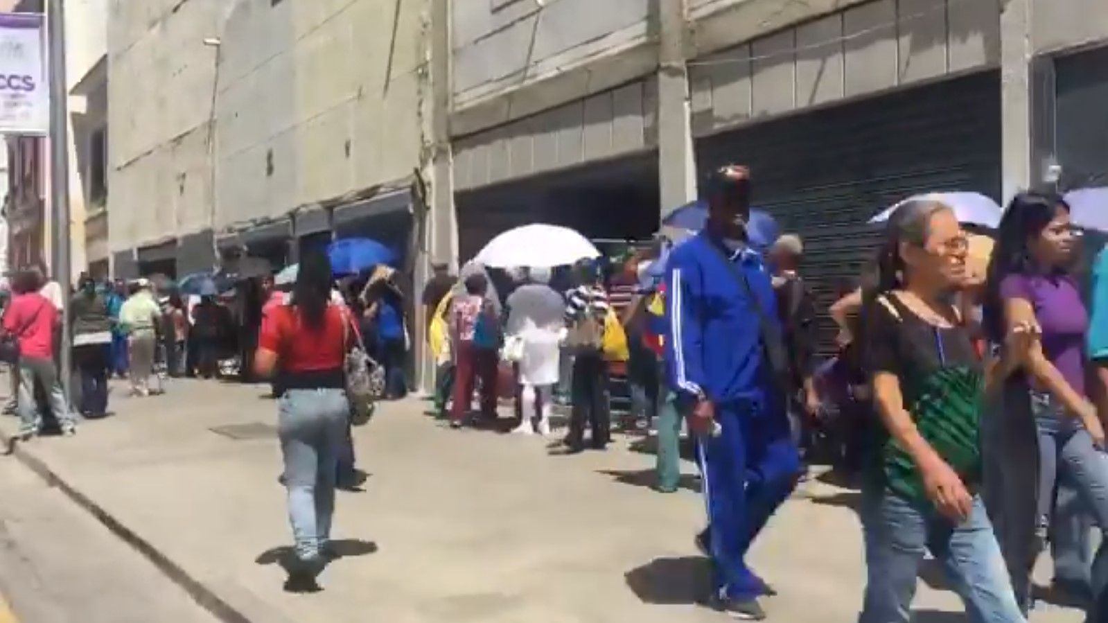 ¡Qué horror! Así están las colas de pensionados en los bancos de la avenida Universidad de Caracas (VIDEO)