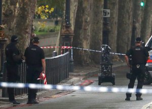 Hallan paquete sospechoso en jardín cerca del parlamento británico