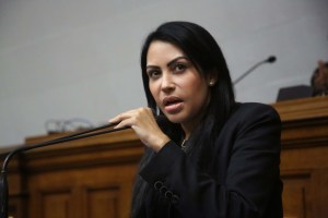 Delsa Solorzano denuncia que circula una versión falsa de la Ley de Amnistía