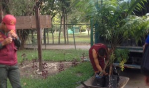 Trabajadores de Inparques denuncian que la GNB se lleva árboles del Parque del Este a Vargas