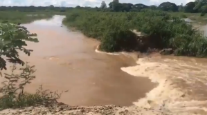 Emergencia en Zulia por rotura de muro de contención del río Catatumbo (video)