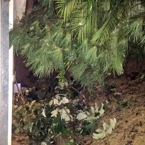 Dos casas se derrumbaron en El Hatillo por fuertes lluvias