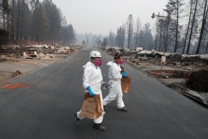 El Papa reza por los afectados en incendios en California