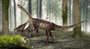 ¡Nuevo hallazgo! Descubren en Brasil al dinosaurio de cuello largo más antiguo del mundo