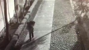 El instante cuando abandonaron en las calles de México los restos de una joven de 14 años (Fotos y Video)