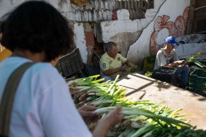 En Mérida se pierden más de 160 toneladas de hortalizas semanalmente