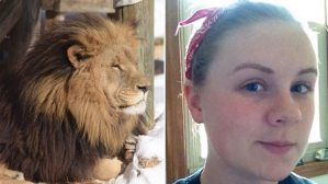 Tragedia: León mata a su cuidadora de 22 años en un zoólogico de EEUU