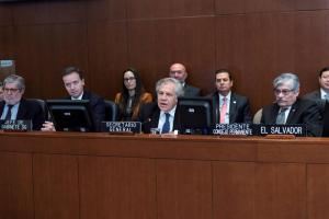 Delegaciones ante la OEA emiten pronunciamiento de apoyo al gobierno de transición en Venezuela
