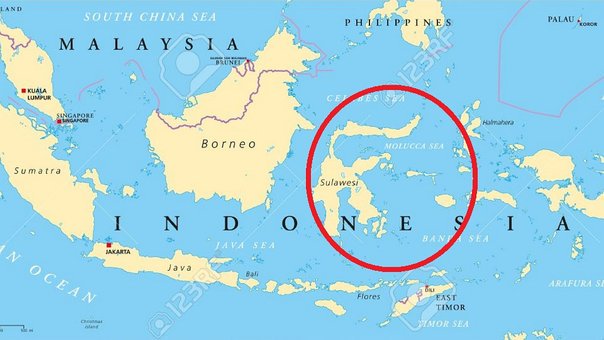 Fuerte sismo 6,6 sacude Indonesia