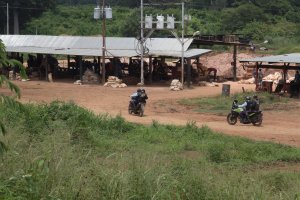 Comunidades indígenas en Bolívar, en riesgo ante la permisiva minería ilegal apoyada por Maduro