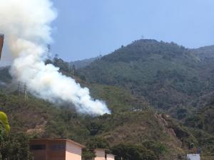Reportan incendio en El Ávila a la altura de Maripérez (Fotos y Videos)