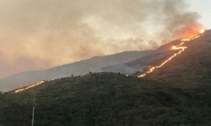 Temporada de sequía y falta de mantenimiento podrían causar más incendios en El Ávila