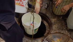 Desesperados, vecinos de El Valle sacan agua de una alcantarilla #1Abr (video)