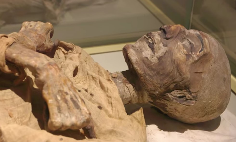 Un sarcófago egipcio de miles de años es abierto en transmisión de TV en vivo