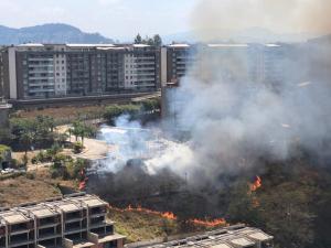 Incendio de vegetación se propaga en el municipio Baruta (Fotos)