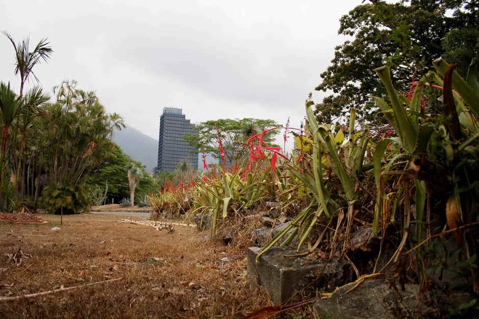 Buscan recuperar el Jardín Botánico de Caracas
