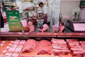 Hasta 200 millones de cerdos serán sacrificados o morirán por peste porcina en China