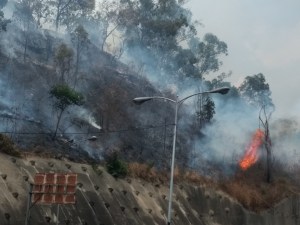 Se queman las laderas de la autopista Prados del Este #10Abr (fotos)